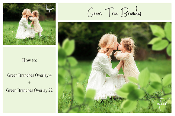 120 Green Tree Branches Overlays in Photoshop Layer Styles - product preview 3