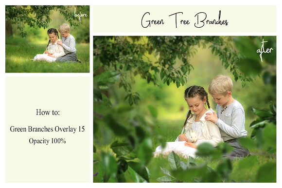 120 Green Tree Branches Overlays in Photoshop Layer Styles - product preview 5