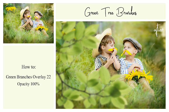 120 Green Tree Branches Overlays in Photoshop Layer Styles - product preview 7