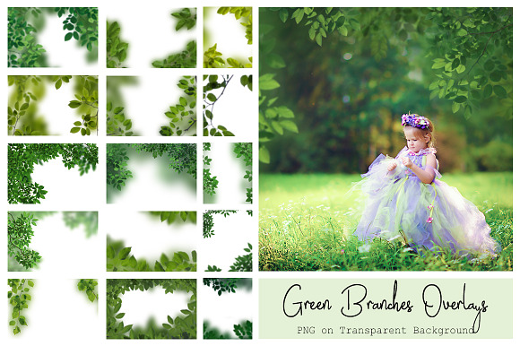 120 Green Tree Branches Overlays in Photoshop Layer Styles - product preview 9