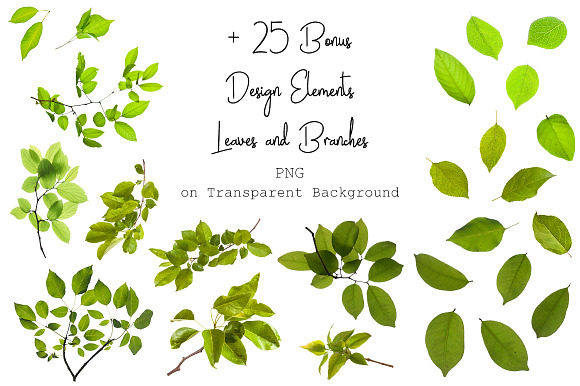 120 Green Tree Branches Overlays in Photoshop Layer Styles - product preview 11