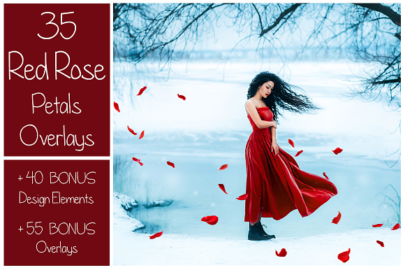 130 Red Rose Petals Overlays PNG in Photoshop Layer Styles - product preview 8