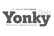 Yonky Slab -8 fonts- 34% off