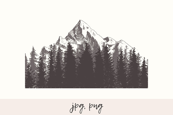Mountain slope with a fir forest in Illustrations - product preview 1