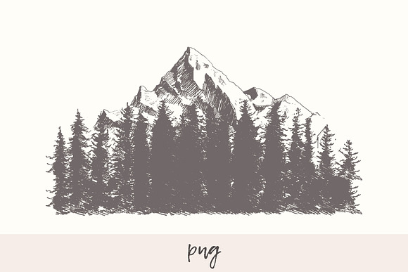 Mountain slope with a fir forest in Illustrations - product preview 2