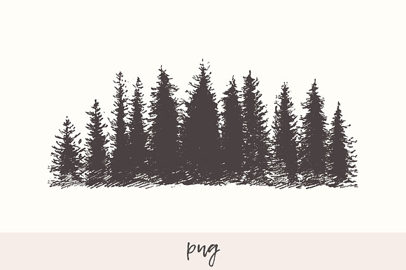 Mountain slope with a fir forest in Illustrations - product preview 3