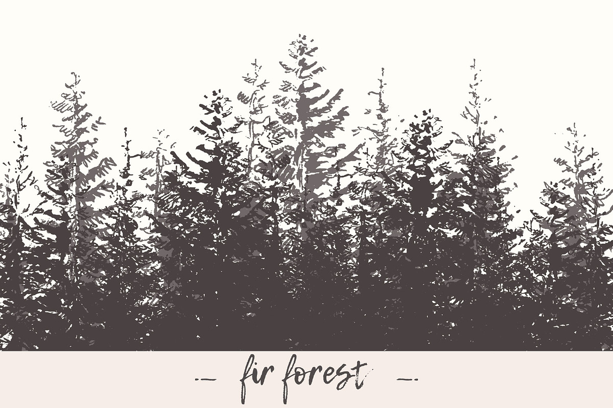 Fir forest background in Illustrations - product preview 8