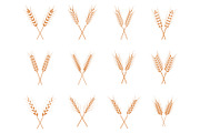 Vector wheat ears icons set.