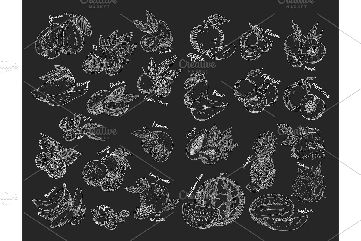 Sketches of isolated fruits. Vegetarian food or nutrition in Illustrations - product preview 8