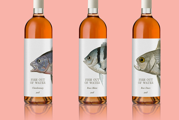 Vintage Fish Illustrations in Illustrations - product preview 3