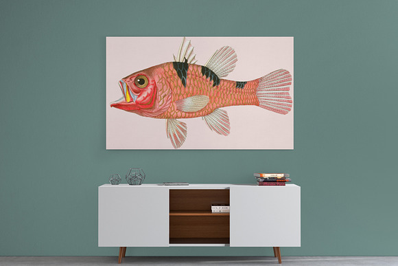 Vintage Fish Illustrations in Illustrations - product preview 4