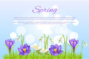 Spring Poster Greeting Card Springtime Flowers