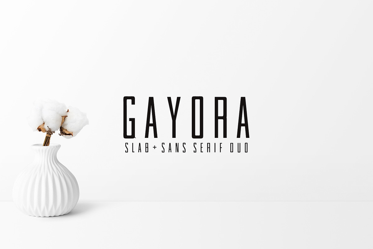 Gayora Slab Serif | Duo Font in Slab Serif Fonts - product preview 8