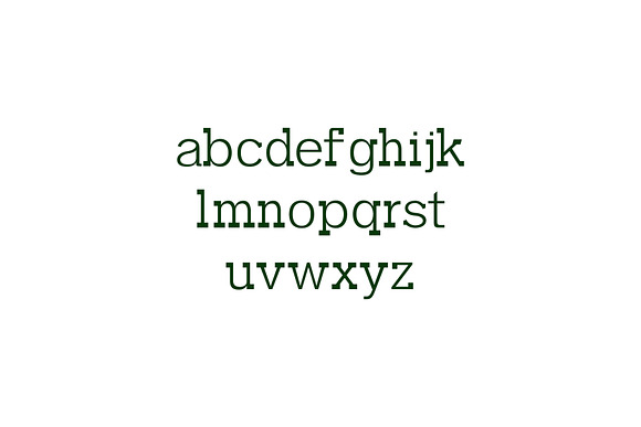 Garvin Slab Serif Font Family in Slab Serif Fonts - product preview 2