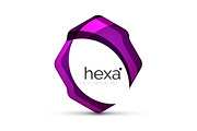 Clean professional hexagon shape business emblem
