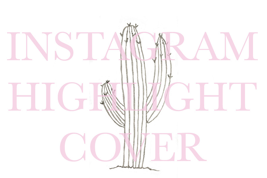 Instagram Highlight Cover Cactus in Instagram Templates - product preview 8