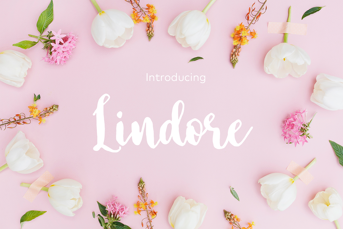 Lindore Script in Script Fonts - product preview 8
