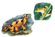 Watercolor set of toads and frogs