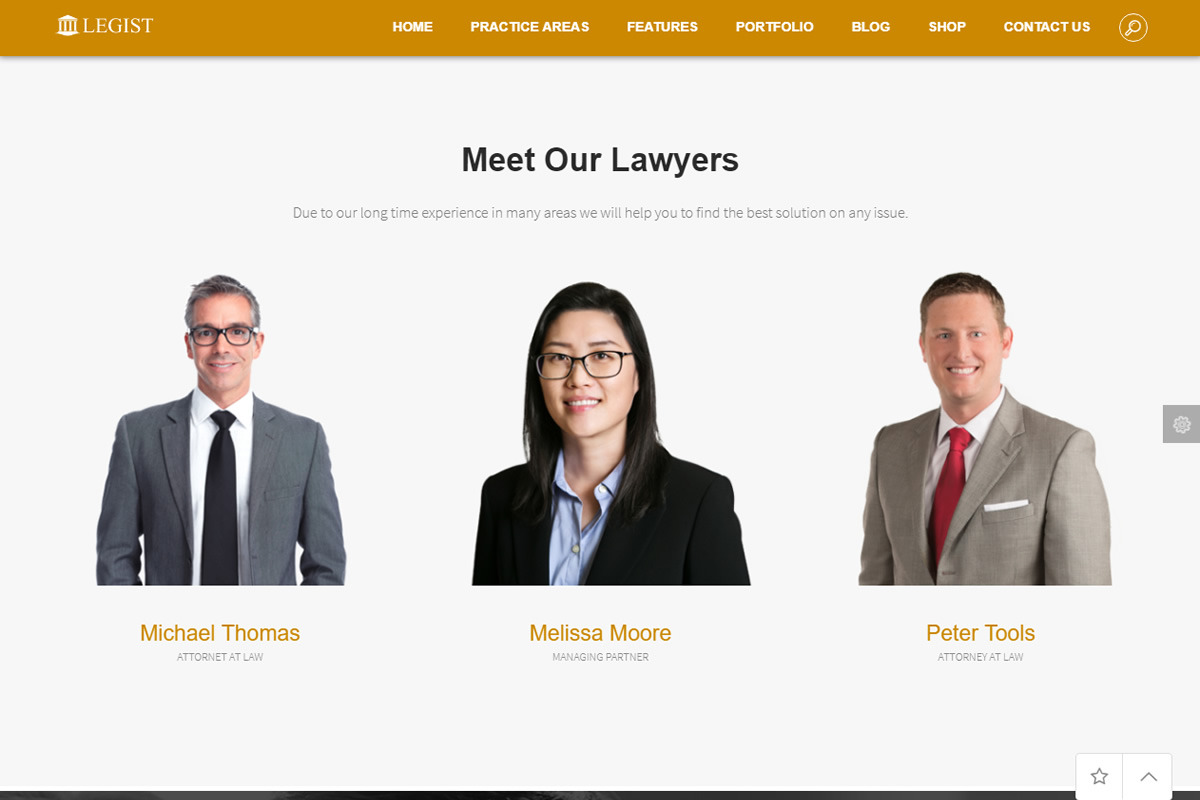 Legist - Law Firm WordPress Theme in WordPress Business Themes - product preview 8