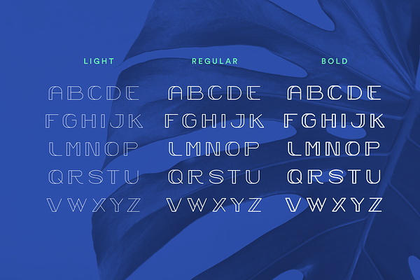 Trindle Sans | Display Font