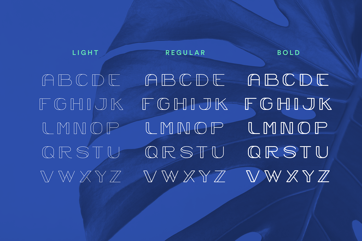 Trindle Sans | Display Font in Display Fonts - product preview 8