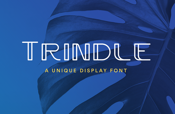 Trindle Sans | Display Font in Display Fonts - product preview 5