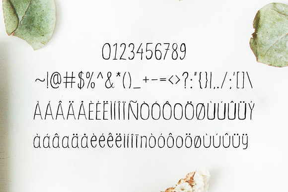 Ceica Handwritten Duo Font + Bonus in Script Fonts - product preview 4
