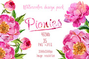Paradise pink peonies PNG watercolor