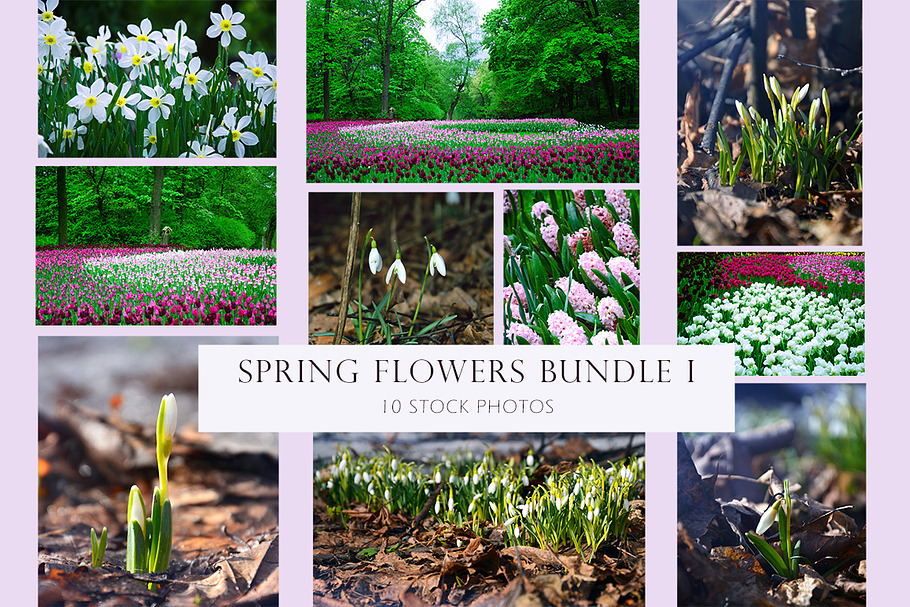 Spring flowers bundle 1 in Instagram Templates - product preview 8