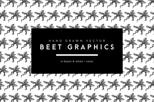 Hand Drawn Vector Beet Graphics