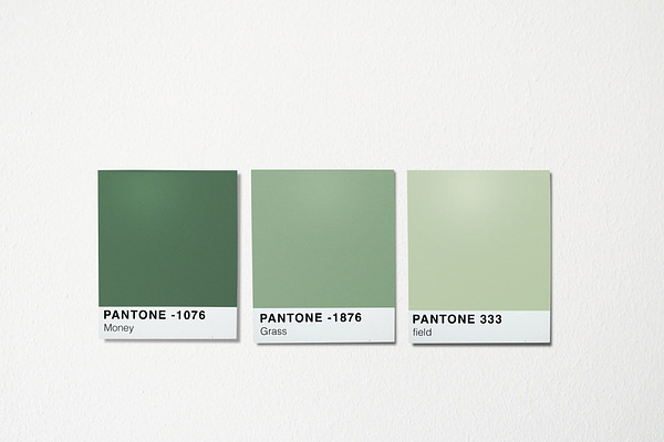 Pantone Colour Scheme Mockup