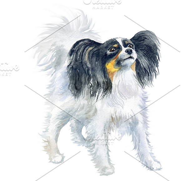 Watercolor Dogs. BIG BUNDLE in Illustrations - product preview 3