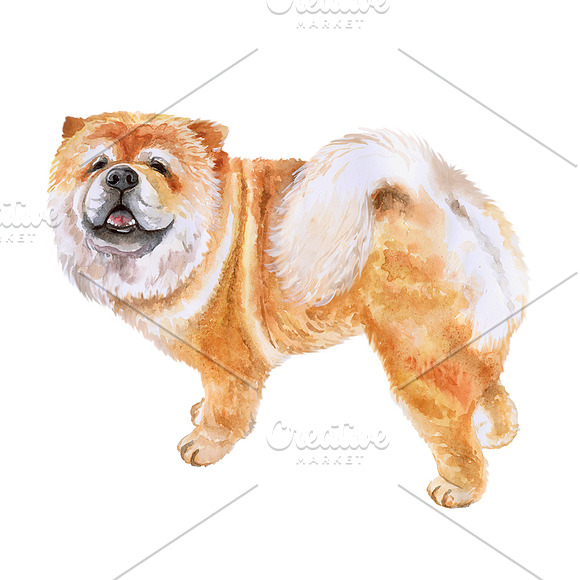 Watercolor Dogs. BIG BUNDLE in Illustrations - product preview 10