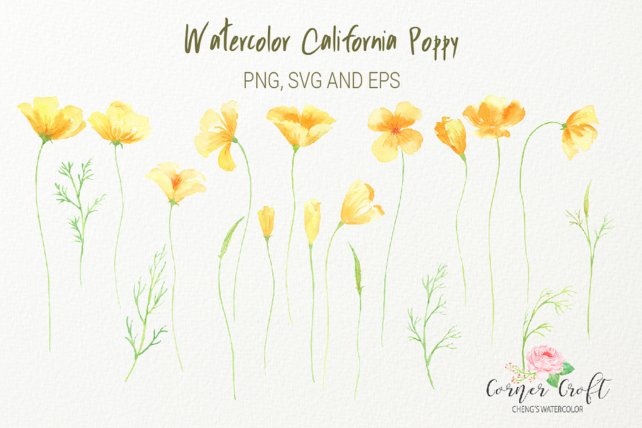 California Poppy PNG, EPS, SVG