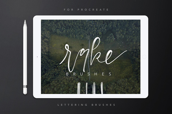 Procreate Lettering Brush Bundle in Photoshop Brushes - product preview 5