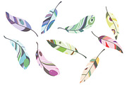 Set of 36 colorful vector feathers