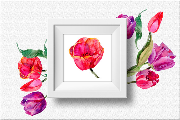 Tulips PNG watercolor flower set in Illustrations - product preview 5