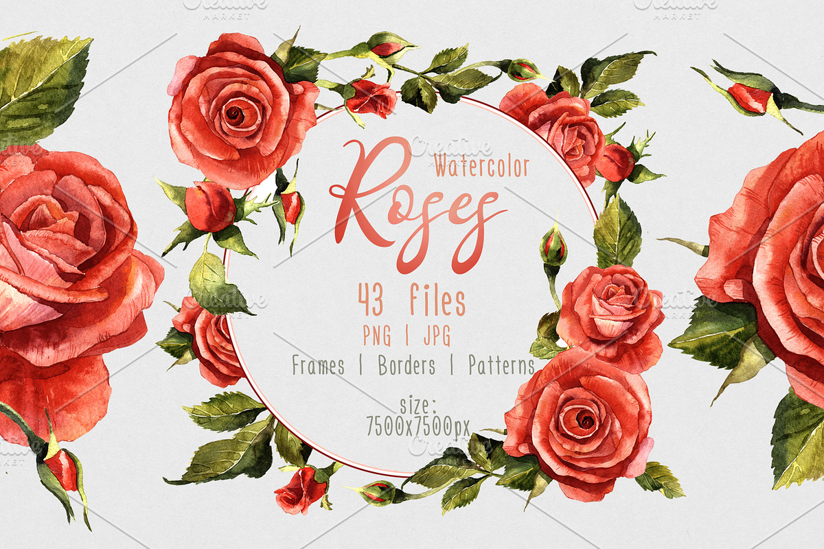 Red roses PNG watercolor flower set in Illustrations - product preview 8