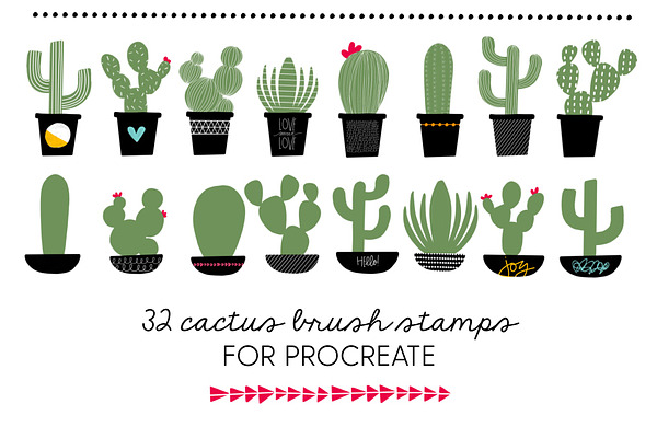 Cactus Brush Stamps for Procreate