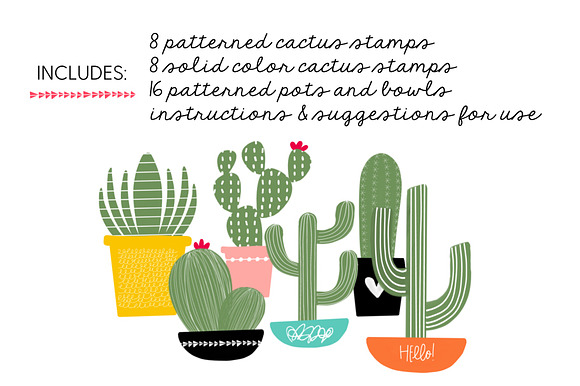Cactus Brush Stamps for Procreate in Photoshop Brushes - product preview 5