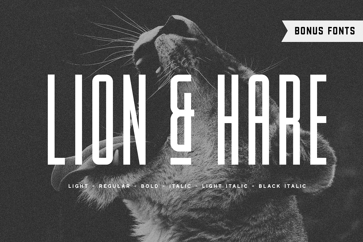 Lion & Hare Font + Bonus Fonts! in Block Fonts - product preview 8