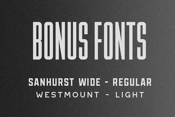 Lion & Hare Font + Bonus Fonts! in Block Fonts - product preview 3