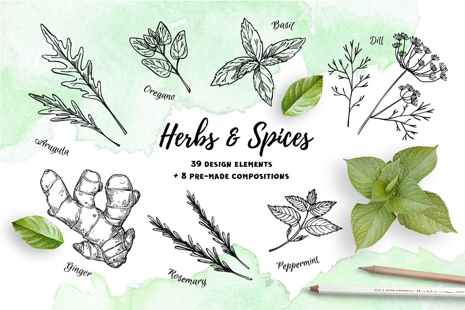 Herbs and Spices. Hand drawn set in Illustrations - product preview 8