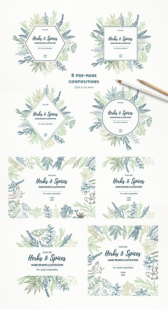 Herbs and Spices. Hand drawn set in Illustrations - product preview 1