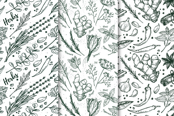 Herbs and Spices. Hand drawn set in Illustrations - product preview 4