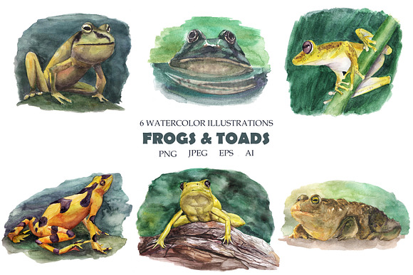 Watercolor set of toads and frogs in Illustrations - product preview 2