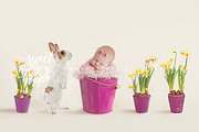 Easter Newborn Digital Backdrop
