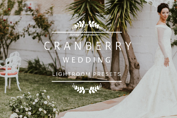 Desktop Lightroom Presets CRANBERRY in Add-Ons - product preview 16