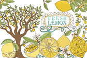 Lemon ClipArt, Fresh Summer Fruit