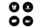 Pets glyph icons set